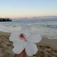Milica V profile picture