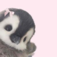 ♡adore♡ profile picture
