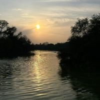 Aurorah profile picture