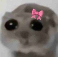 Maria profile picture