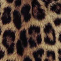 Juliana 💕 profile picture