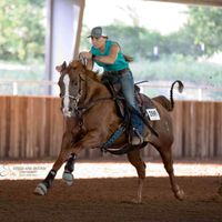 Alexis Daddabbo profile picture