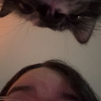 Kareli🛍️🩷 profile picture