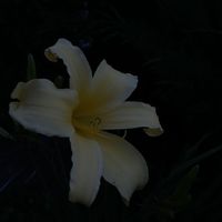 ma1ya profile picture