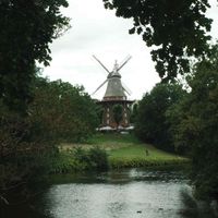 Lucia Pala profile picture