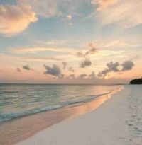 Laura ☁️🦢🫧 profile picture