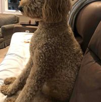 Noelle Bedsaul profile picture