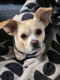 courtney profile picture