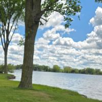 Erin profile picture